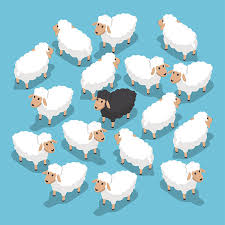Flock